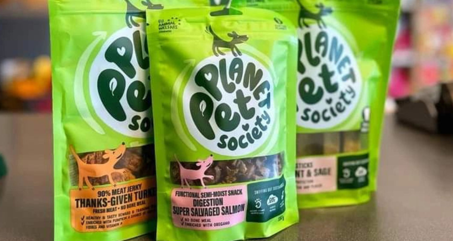 all-planet-pet-society-uk