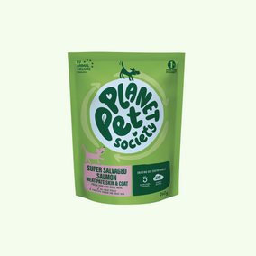 Salmon Wet Food For Dogs To Support Skin & Coat