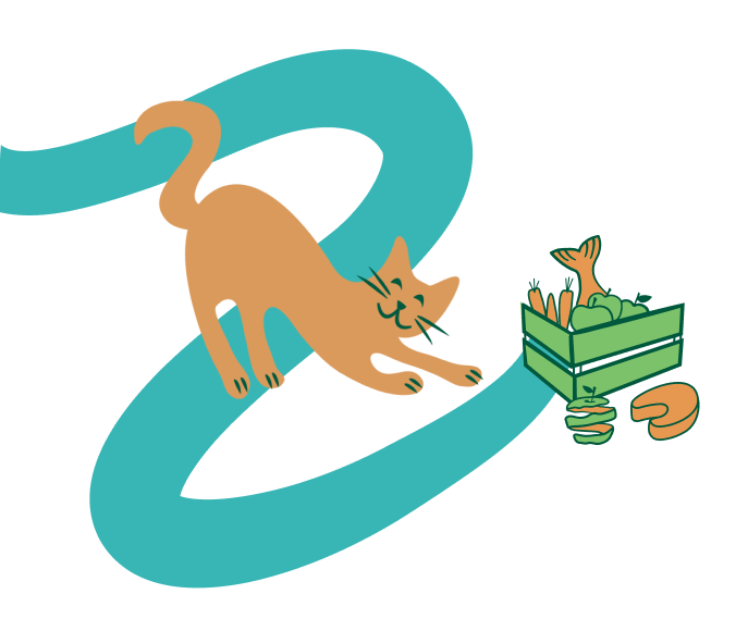 Salmon Wet Food For Cats Sustainable Adult Cat Food Planet Pet salmon-wet-food-for-cats-sustainable-adult-cat-food-planet-pet